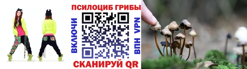Галлюциногенные грибы мухоморы  купить  цена  Канаш 